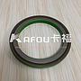 Differential oil seal 依维柯差速器油封 42534850 42538856 42560428 5001859168 7420832385 20832385 22468905 3096279